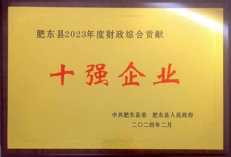肥东县2023年度财政综合贡献十强企业