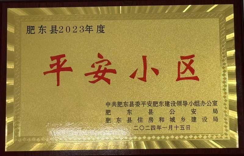肥东县2023年度平安小区
