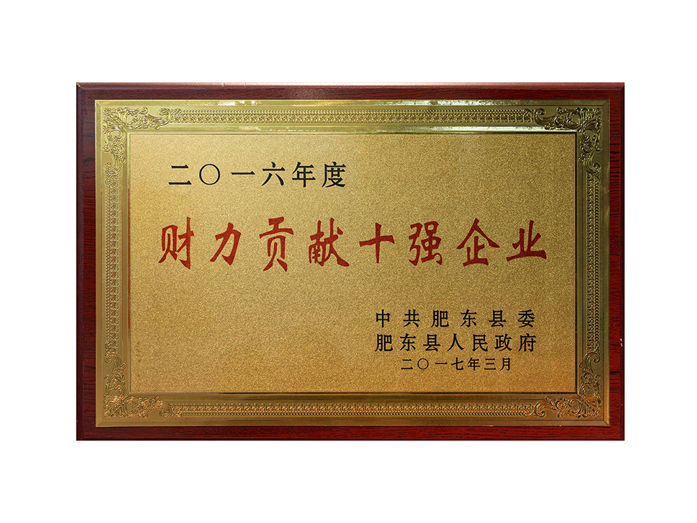 2016年度财力贡献十强企业