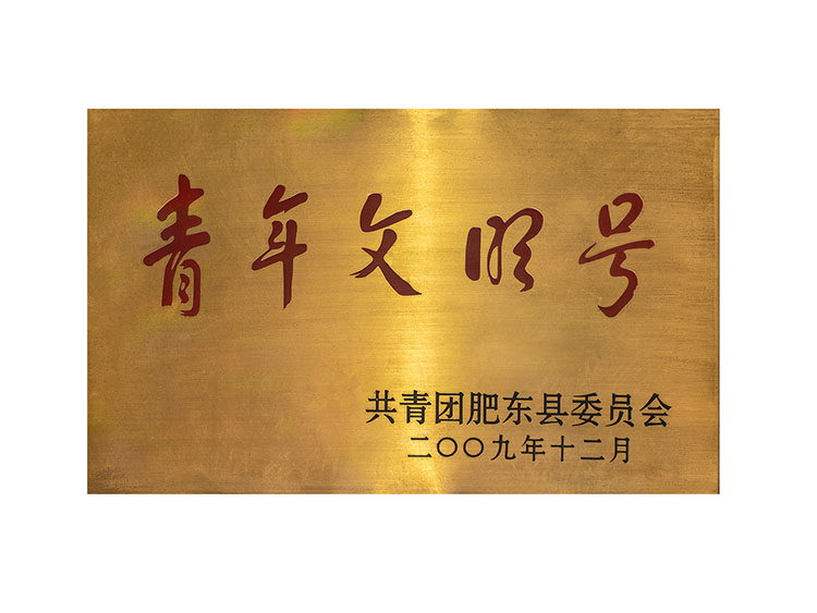 肥东青年文明号